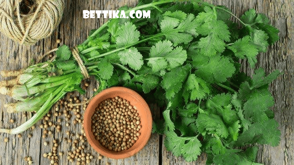 bettika